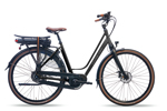 Avalon Deluxe E-Bike