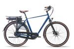 Avalon Deluxe E-Bike