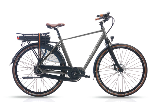 Avalon Deluxe E-Bike