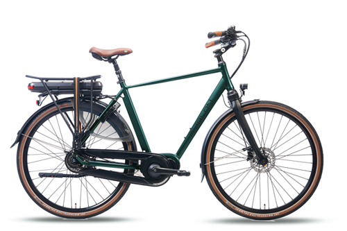 Avalon Deluxe E-Bike