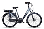 Avalon E-Max E Bike