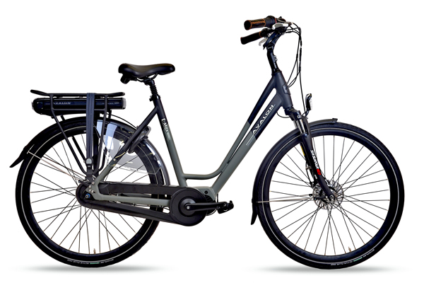 Avalon E-Max E-Bike